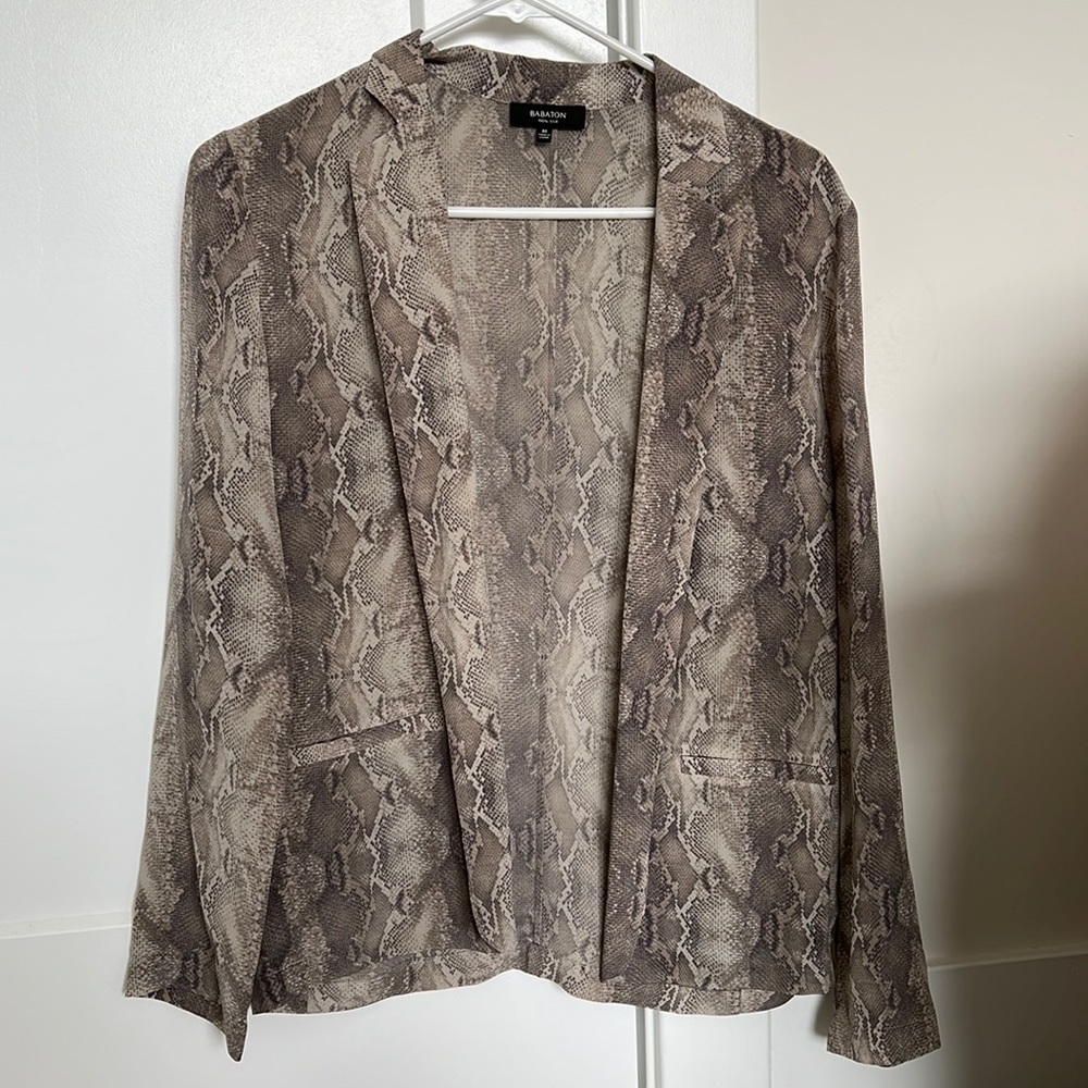 Aritzia Babaton Silk Blazer